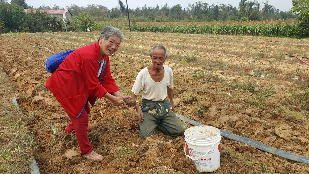 Qg Life 城中館 寵物親子釣魚人民宿 Жинченг Екстериор снимка